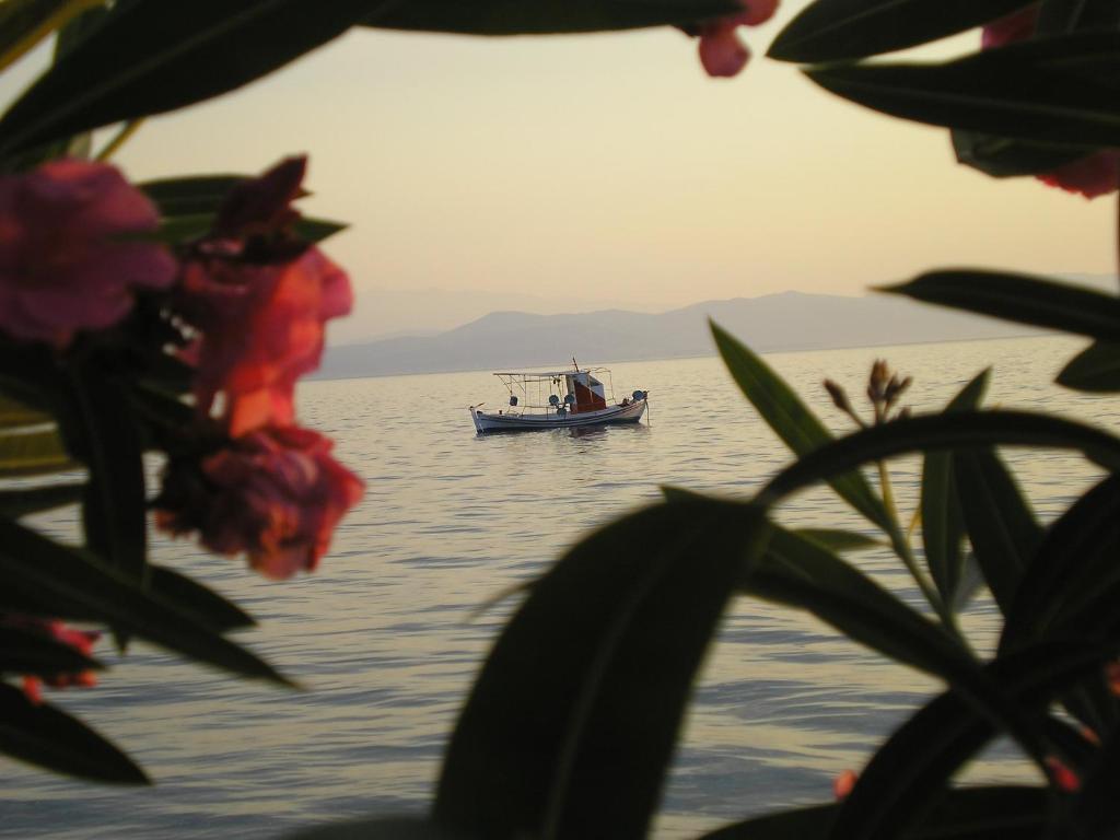 Souris Hotel Rovies Dış mekan fotoğraf
