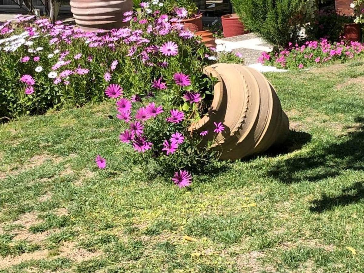 Souris Hotel Rovies Dış mekan fotoğraf